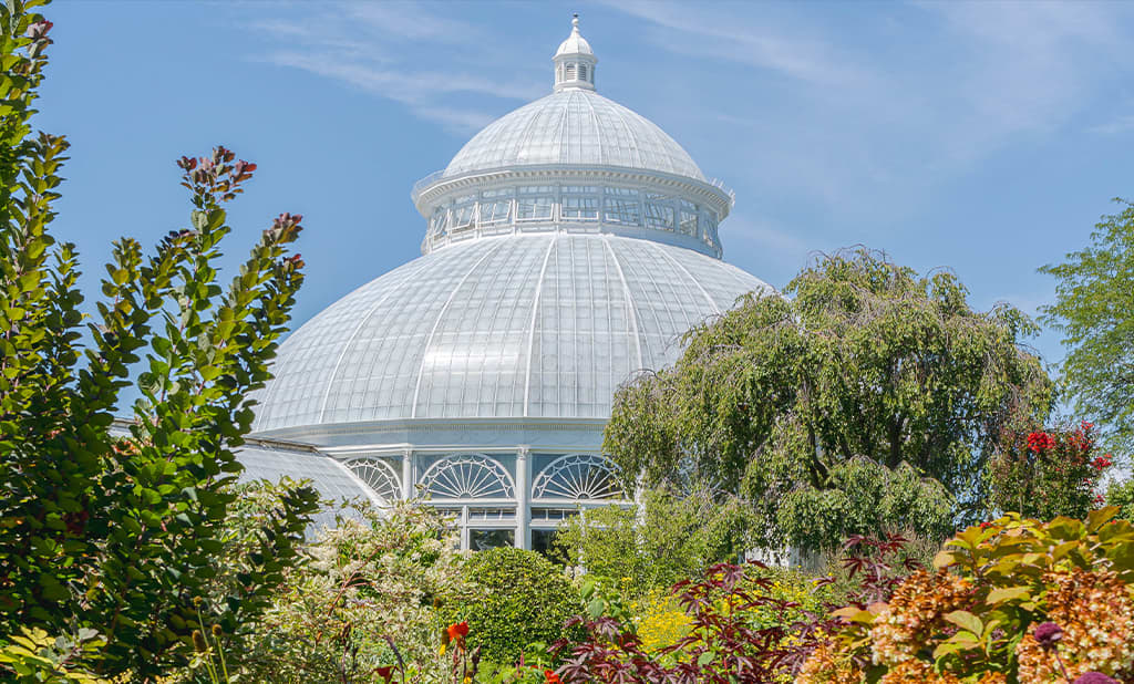 New York Botanical Garden
