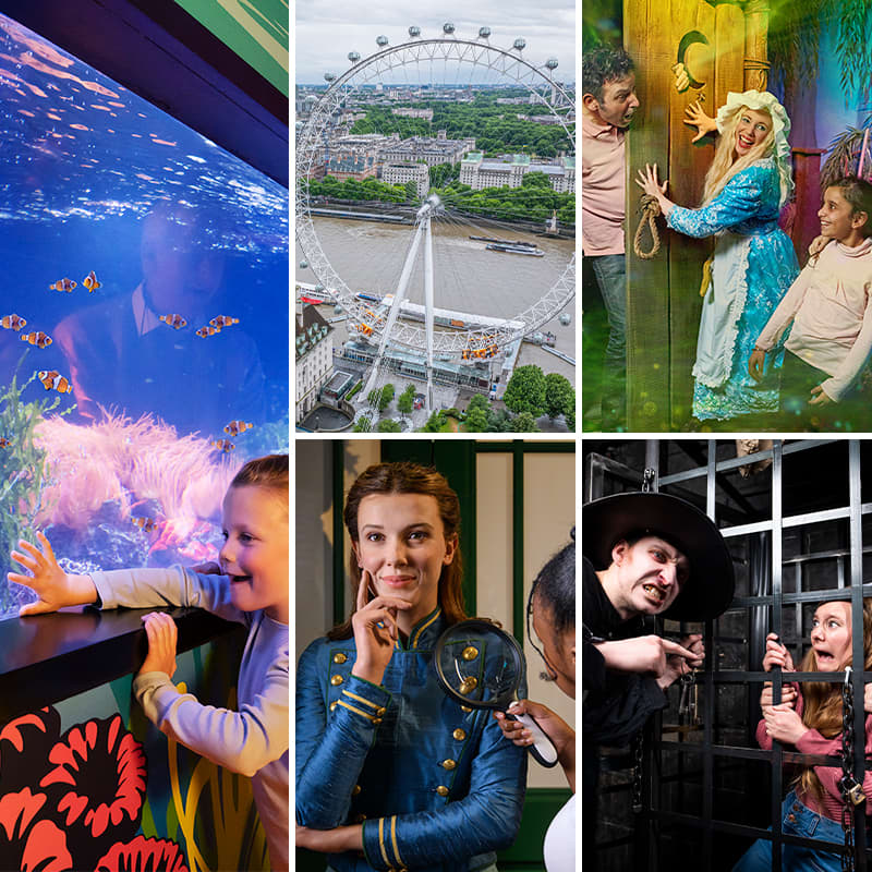 SEA LIFE Aquarium, London Eye, Madame Tussauds, Dungeon & Shrek's Adventure-