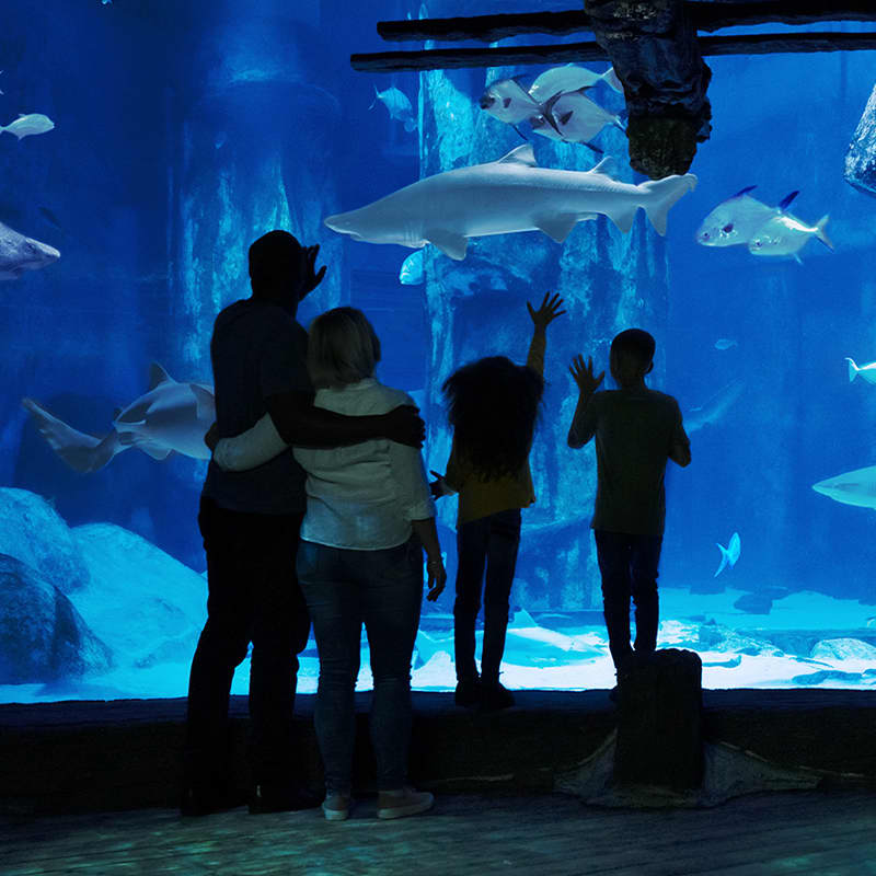 Madame Tussauds & SEA LIFE Aquarium 6