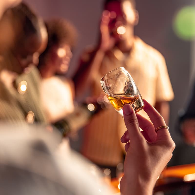 Jameson Experience avec Dégustation (en français) 6