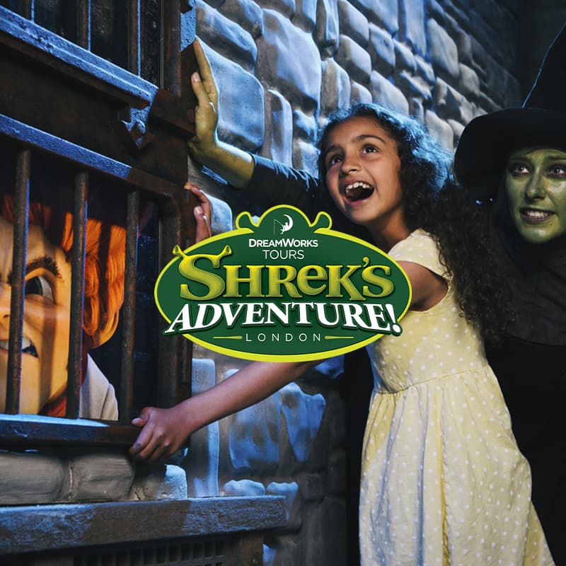 Shrek's Adventure: VIP Experience-