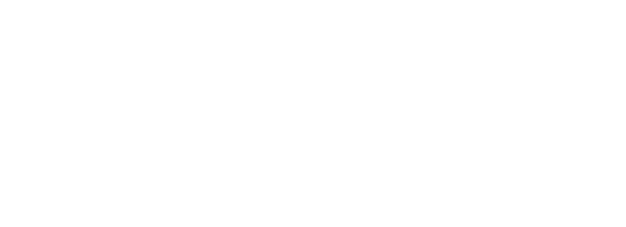 Fever logo theme