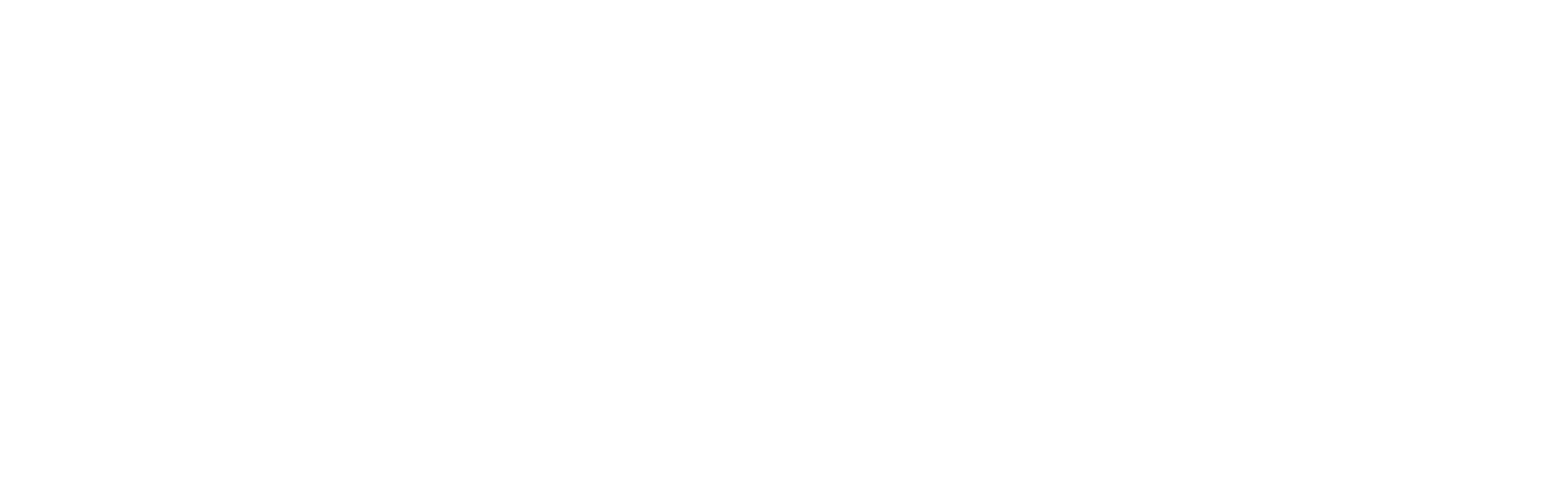 Fever logo theme