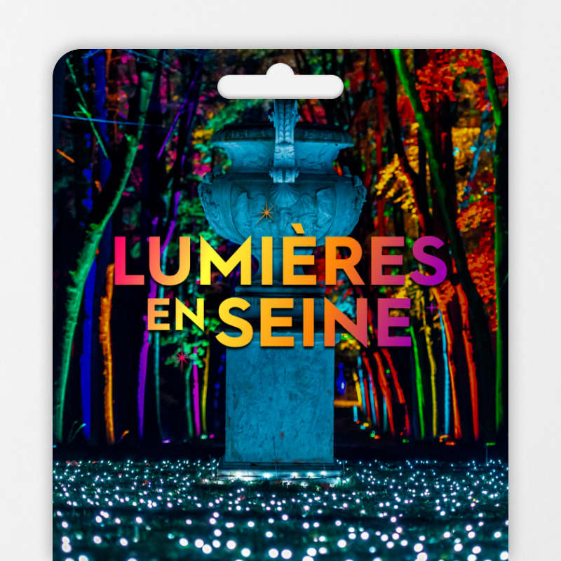 Affiche Lumières en Seine : le parcours illuminé et musical des fêtes de fin d'année - Carte-cadeau