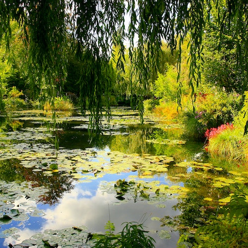 Affiche Jardins de Monet à Giverny : Visite guidée d'une demi-journée depuis Paris