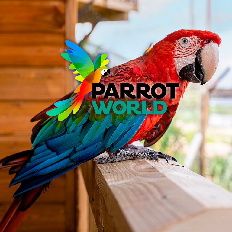 Affiche Parrot World : pass annuel billets