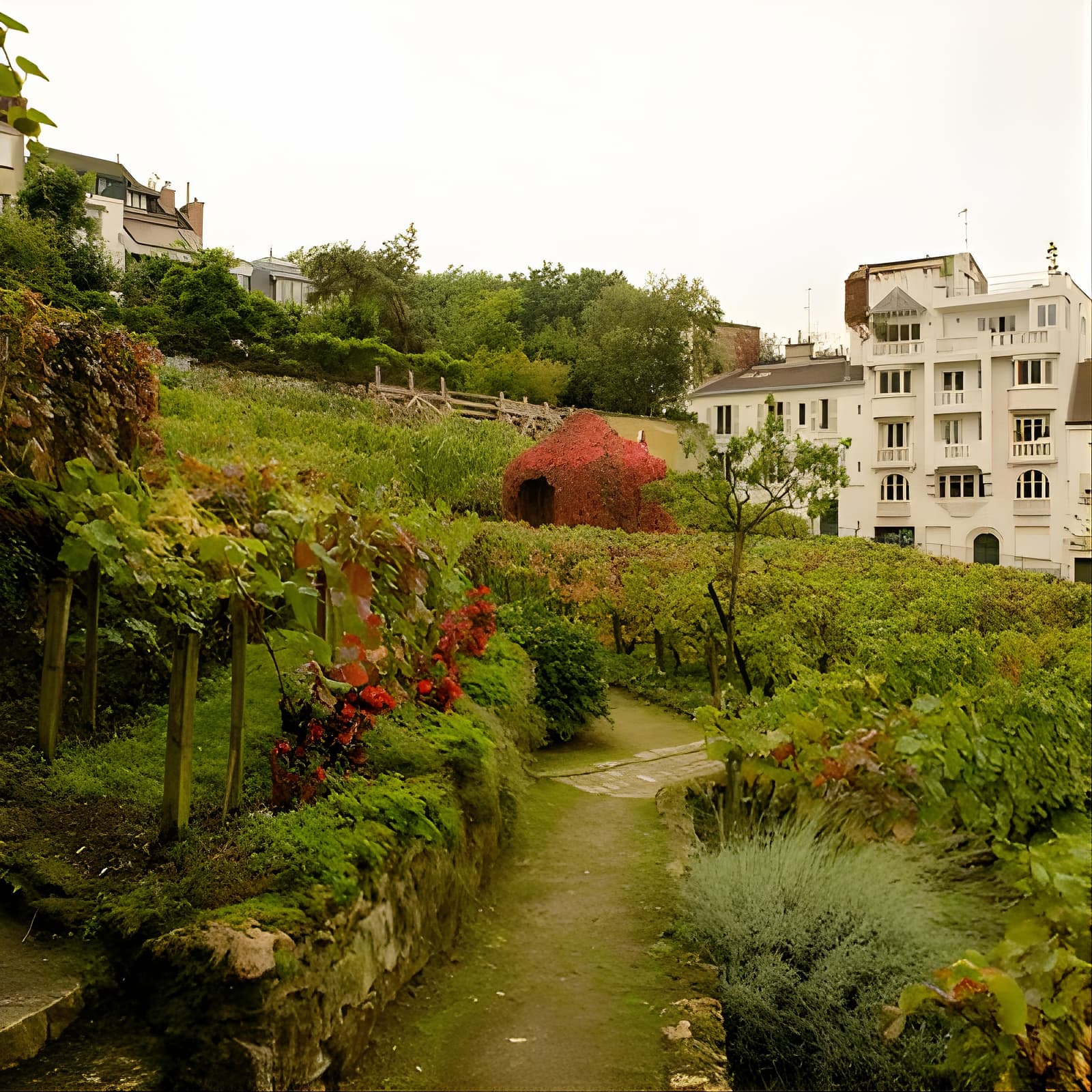 Affiche Montmartre Self-Guided Audio Tour: More Than Meets the Eye