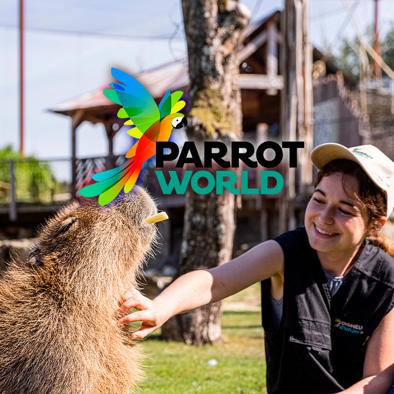 Affiche Parrot World : billets pour les expériences immersives