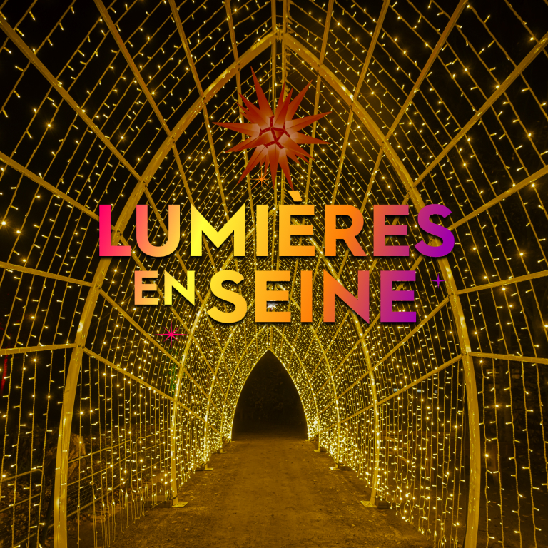 Affiche Lumières en Seine : le parcours illuminé et musical des fêtes de fin d’année - Billet Liberté