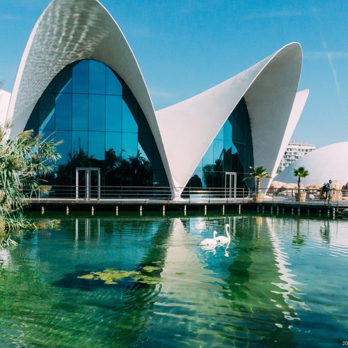 Oceanogràfic València: Entrance Ticket