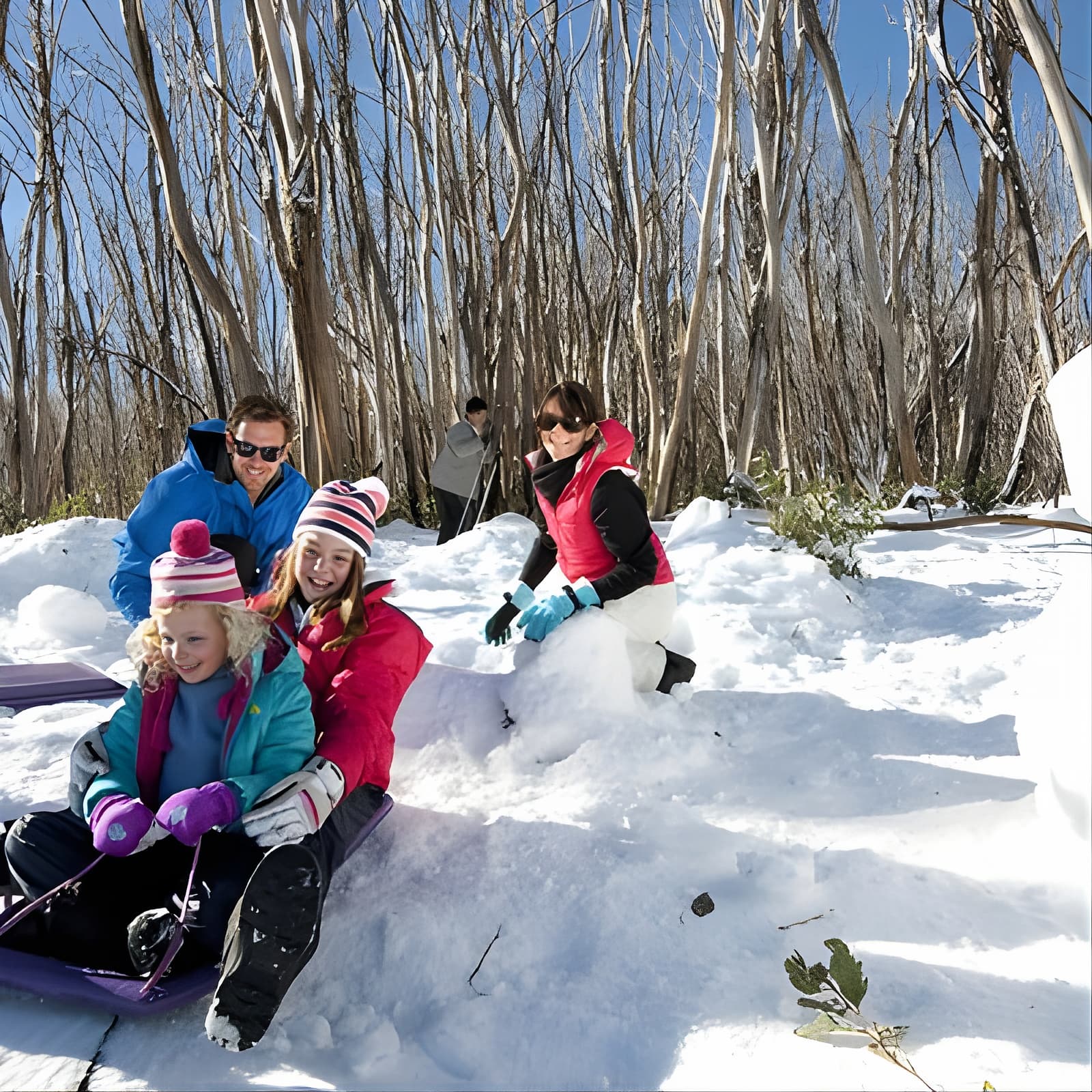 Lake Mountain Snow Trip including Yarra Valley Chocolaterie from Melbourne