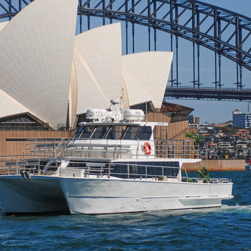 Sydney: Whale Watching Adventure Cruise