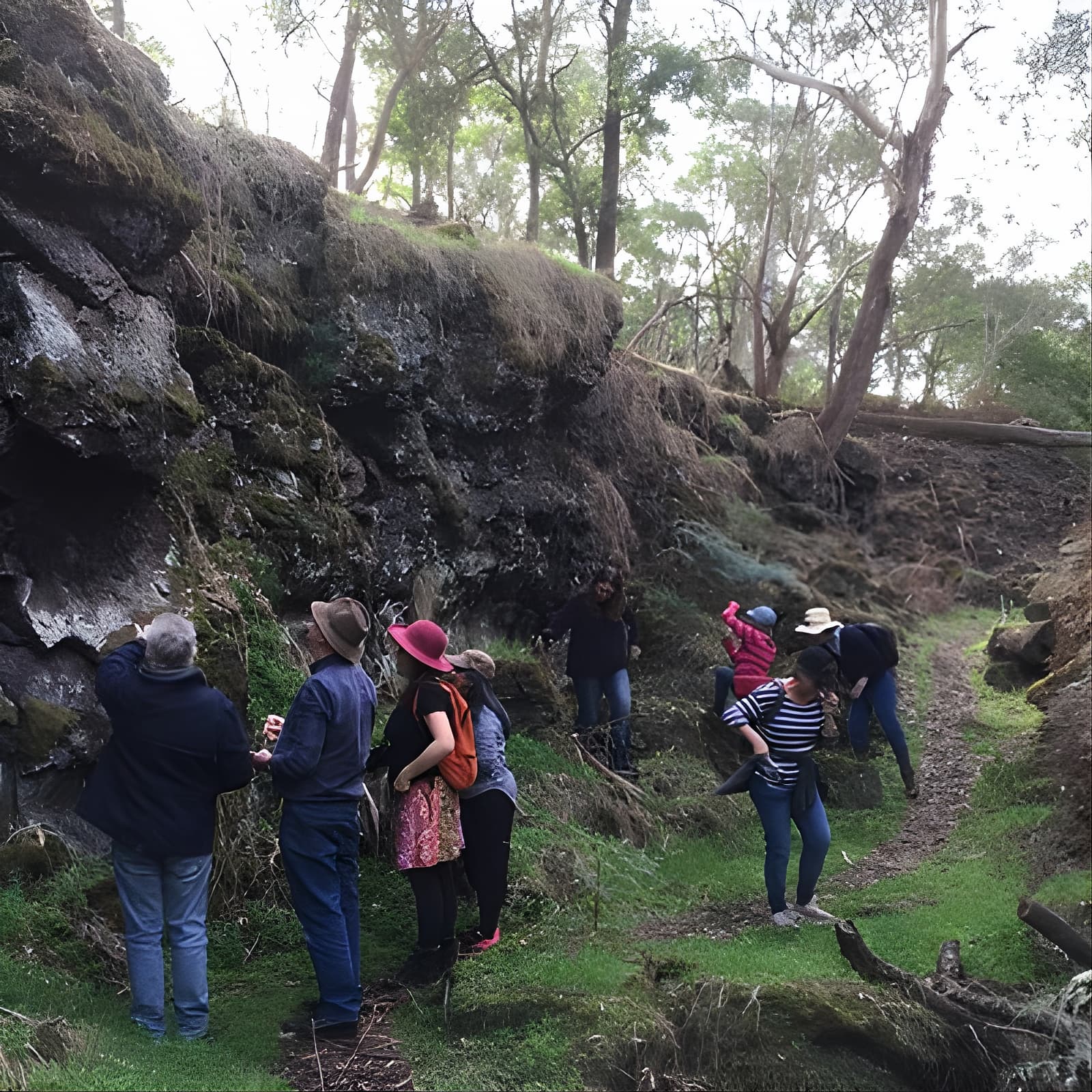 Mount Eccles Volcano – Budj Bim National Park