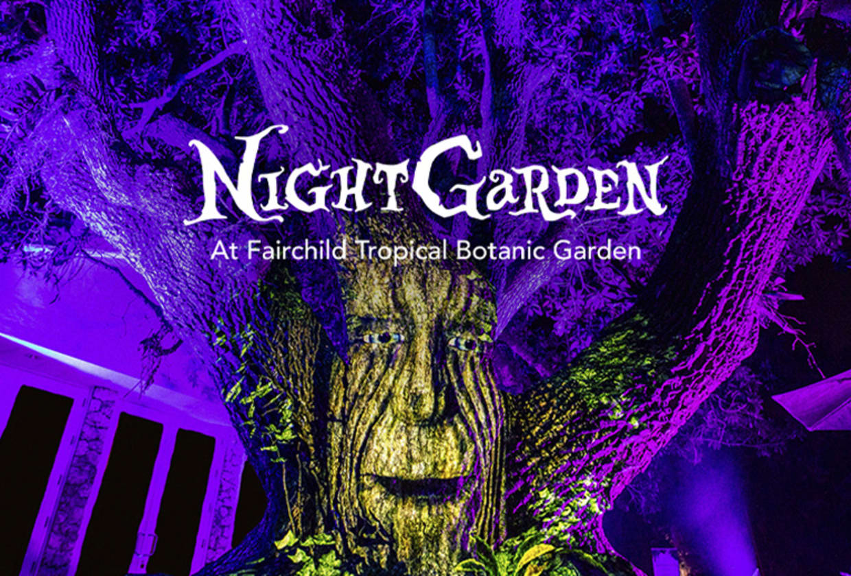 NightGarden at Fairchild Tropical Botanic Garden