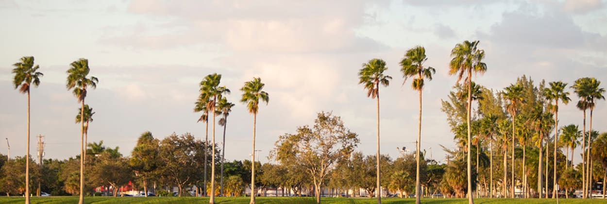 TROPICAL PARK