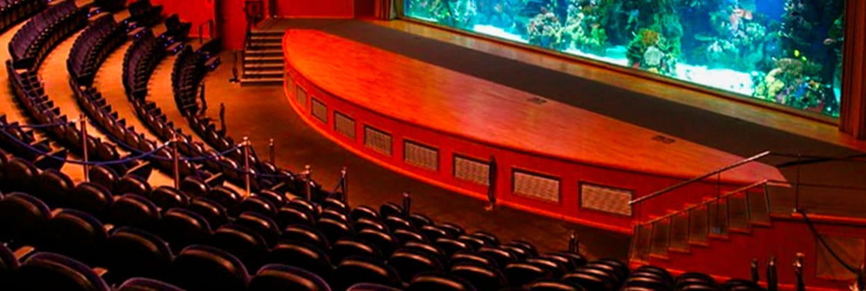 Auditorio Mar Rojo - Oceanogràfic València