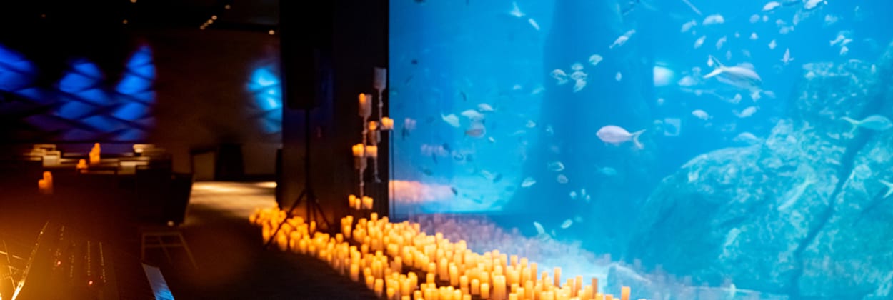Adventure Aquarium
