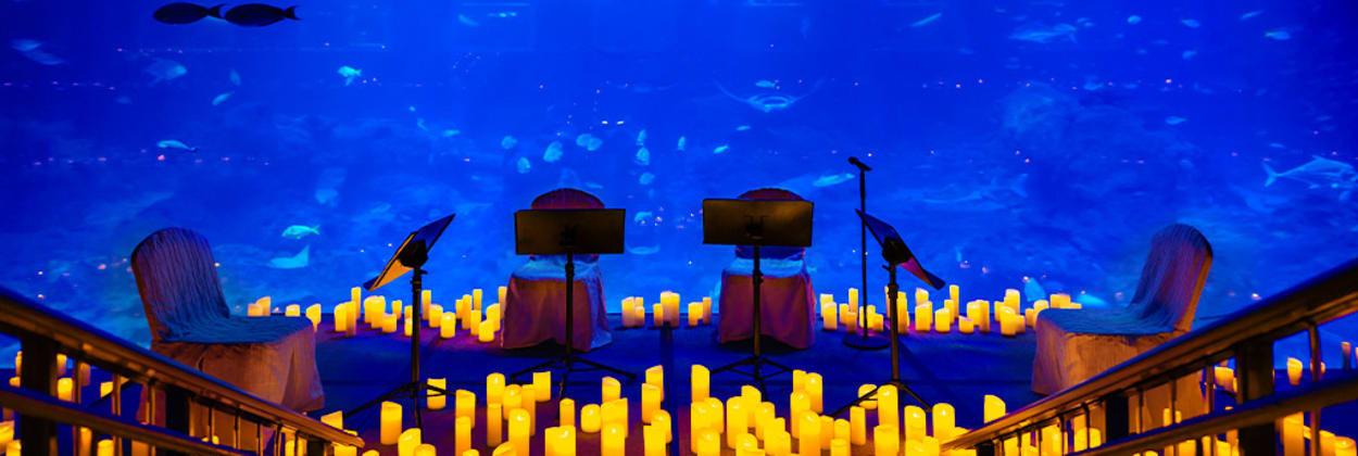 S.E.A. Aquarium