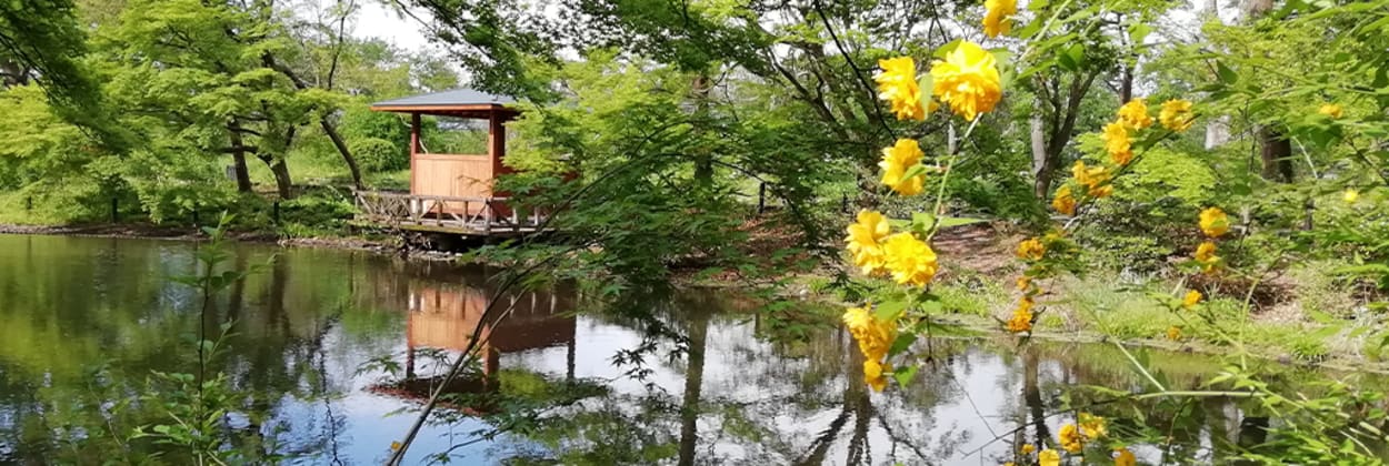 Kyoto Botanic Gardens
