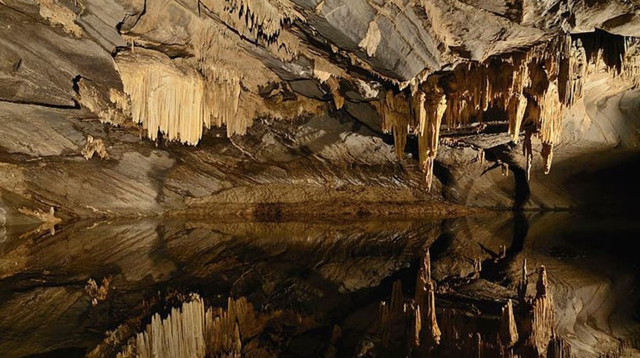 Grottes de Han