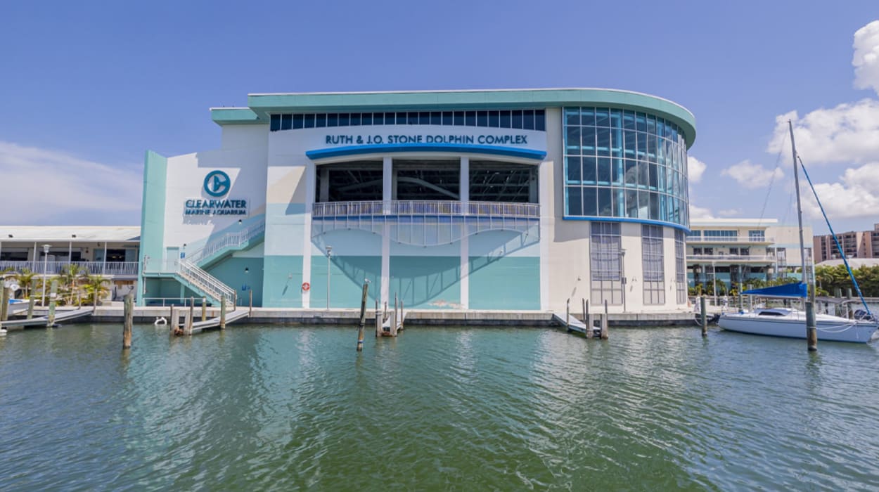 Clearwater Marine Aquarium