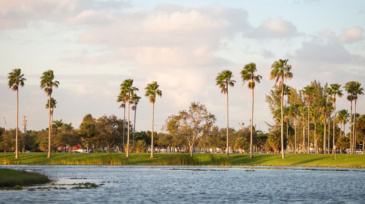 Tropical Park