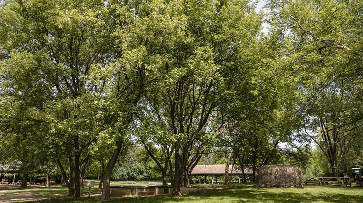 YMCA Camp Duncan