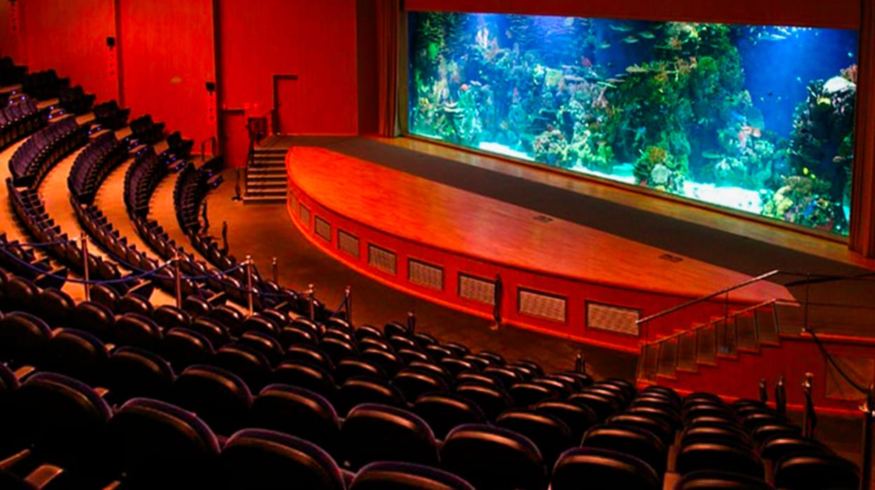 Auditorio Mar Rojo - Oceanogràfic València
