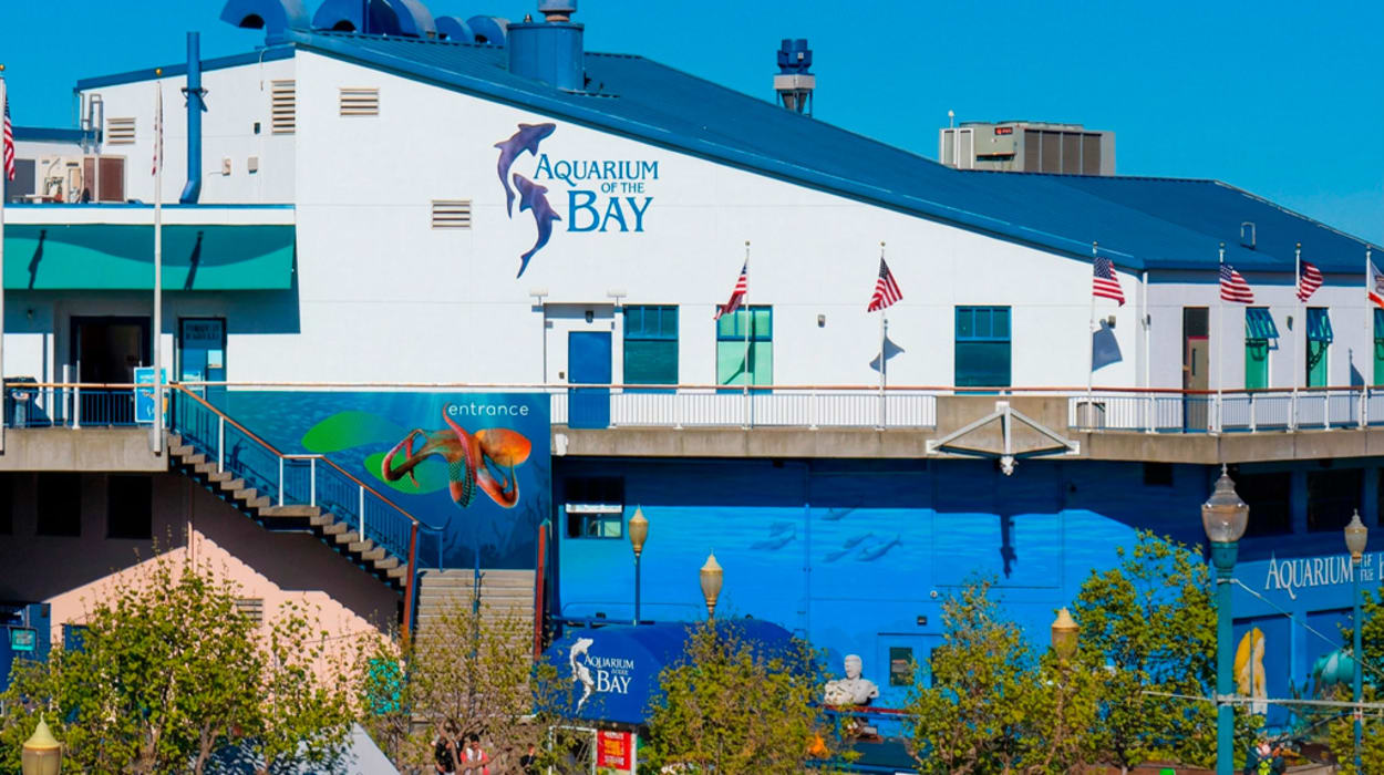 Aquarium of the Bay