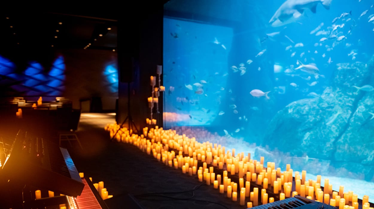 Adventure Aquarium