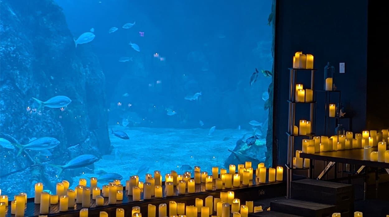 Sea Life Melbourne Aquarium