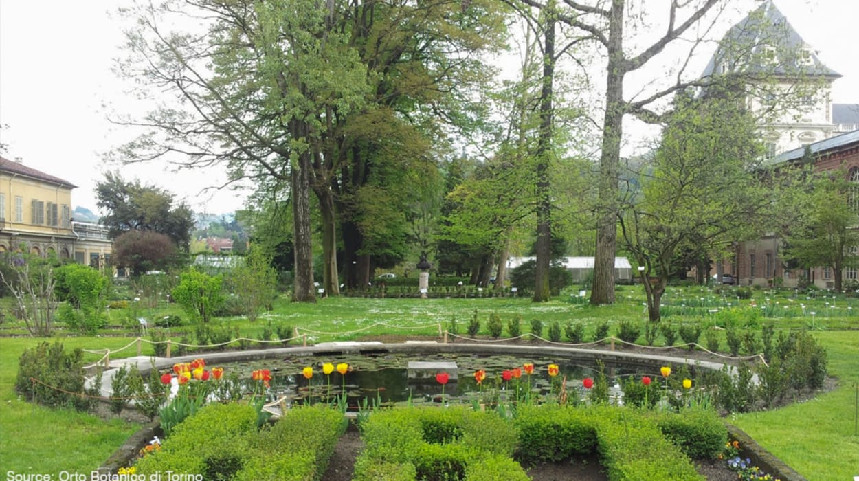 Orto Botanico di Torino