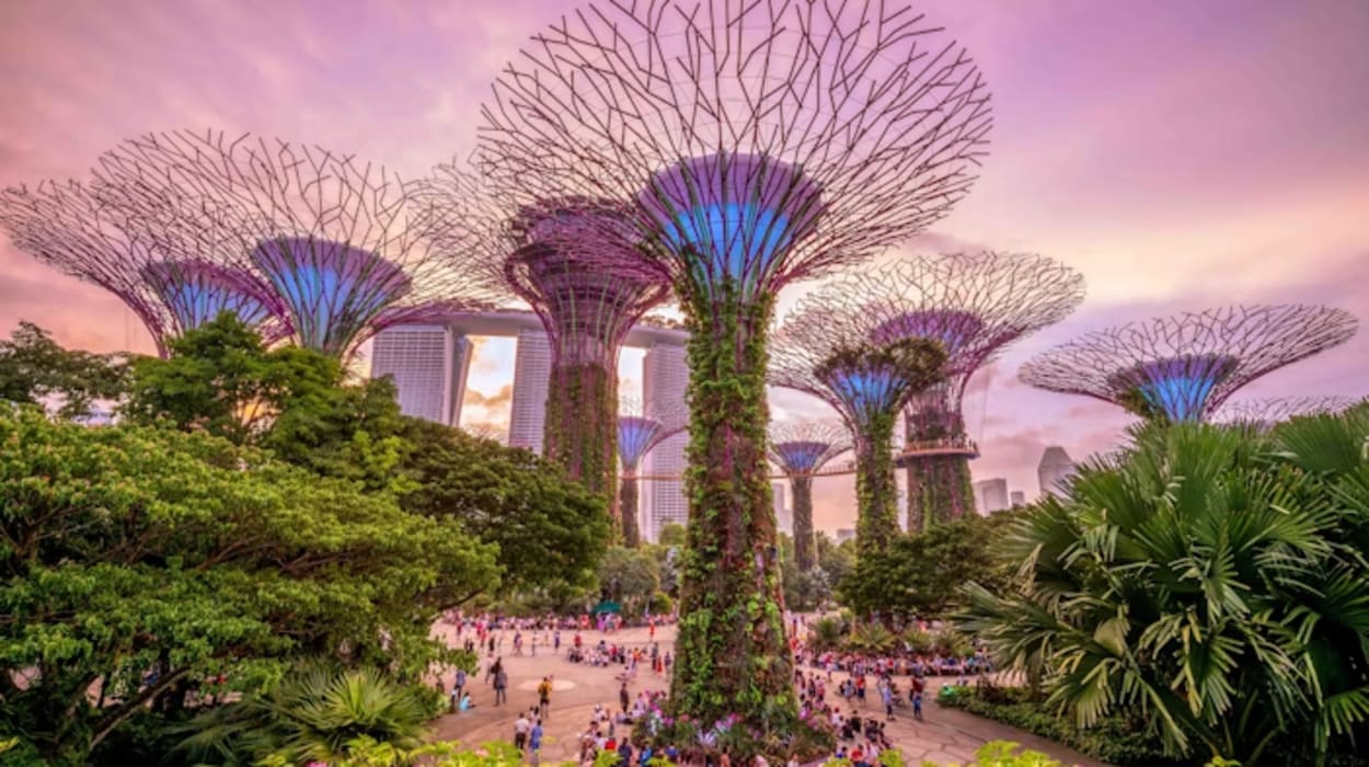 Gardens by the Bay