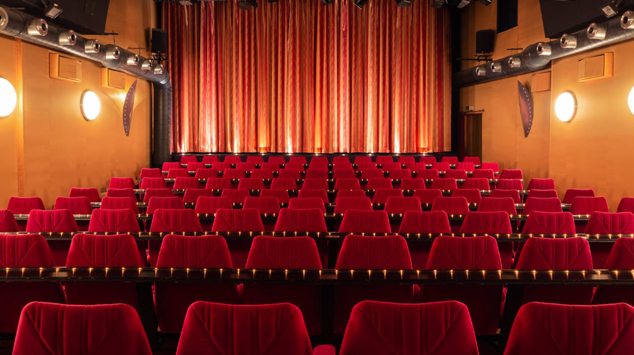 Lichtspiel und Kunsttheater Schauburg