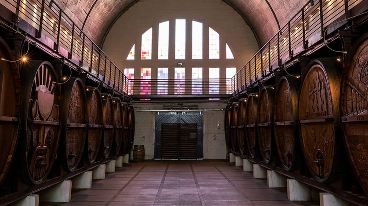 Cathedral Cellar