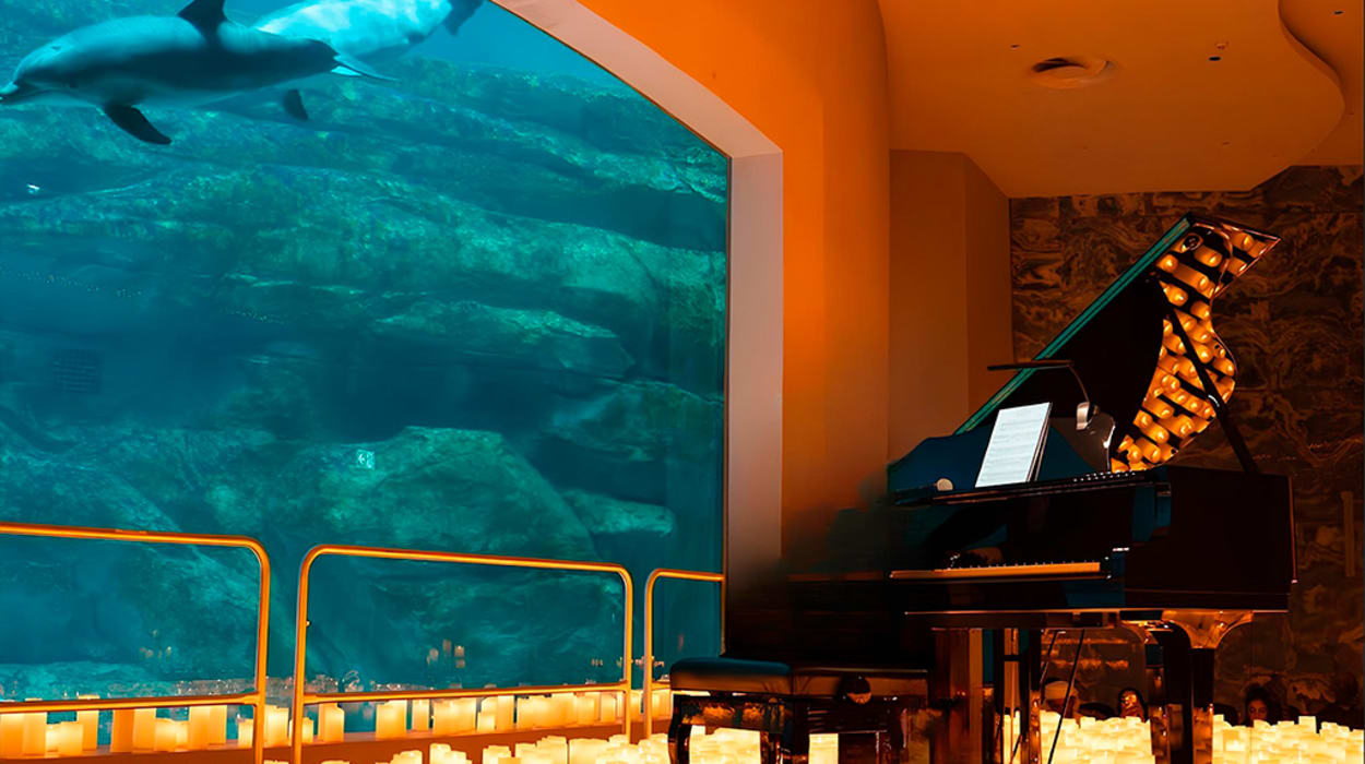 SeaWorld Yas Island, Abu Dhabi