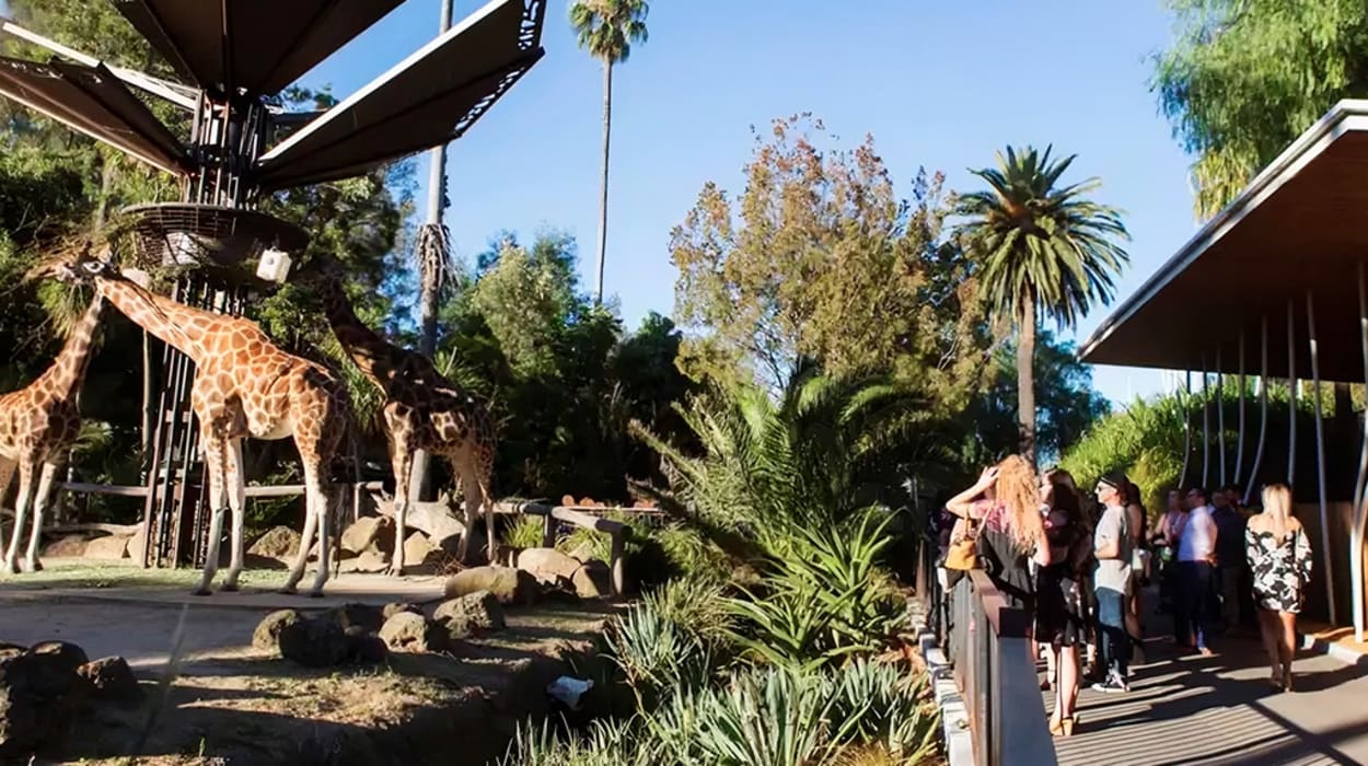 Melbourne Zoo