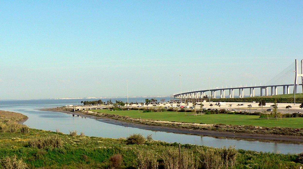 Tejo Park