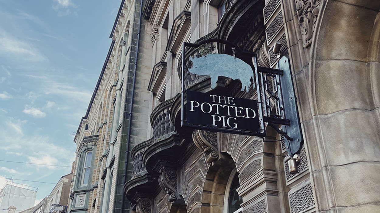 The Potted Pig