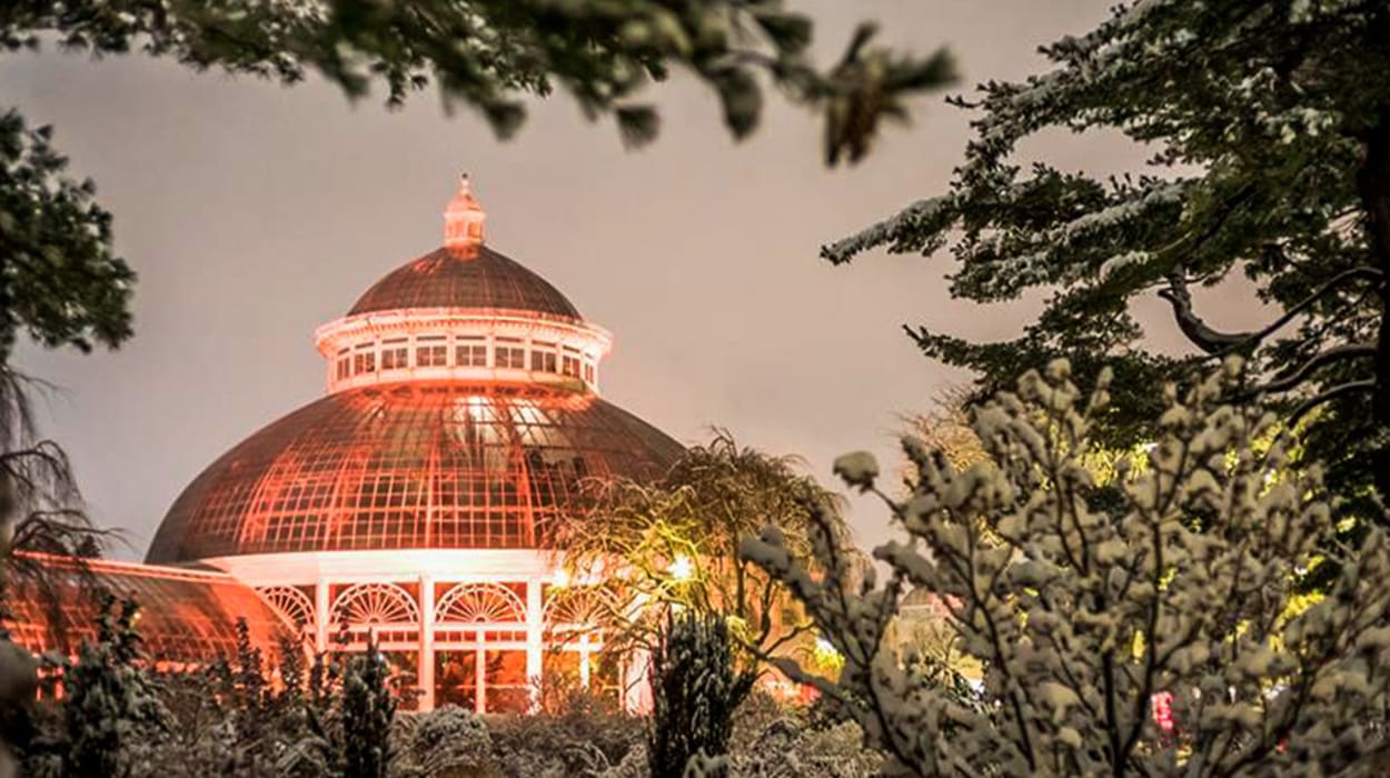 Jardín Botánico de Nueva York