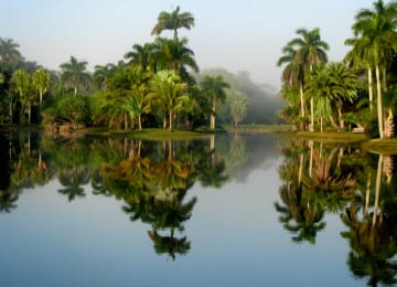 Fairchild Tropical Botanic Garden