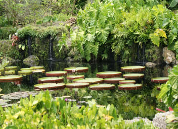Fairchild Tropical Botanic Garden