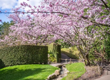 Gardens of the World