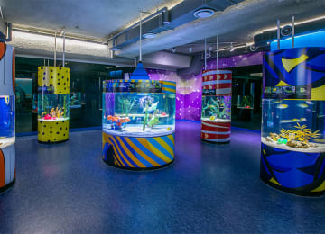 씨라이프 코엑스 아쿠아리움 (SEA LIFE COEX, Seoul Aquarium)