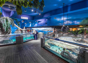 씨라이프 코엑스 아쿠아리움 (SEA LIFE COEX, Seoul Aquarium)