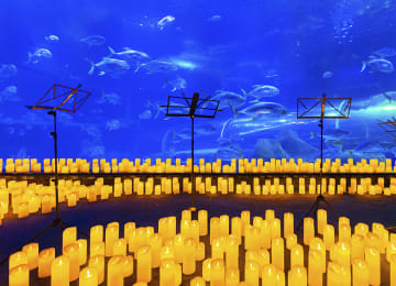 AquaRio