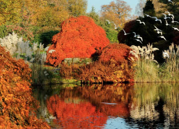 Kew Wakehurst