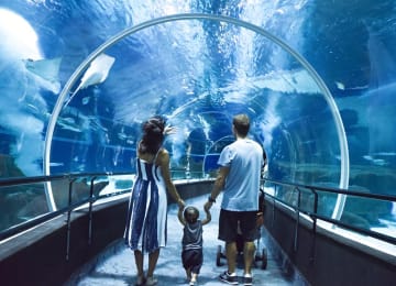 AquaRio