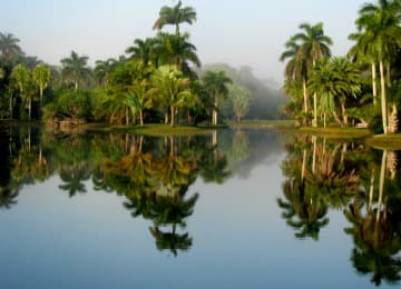 Fairchild Tropical Botanic Garden