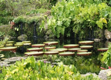 Fairchild Tropical Botanic Garden